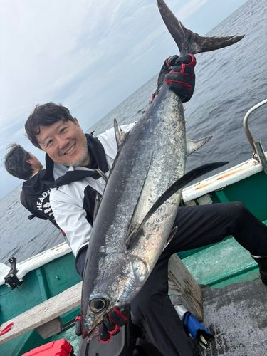 ビンチョウマグロの釣果