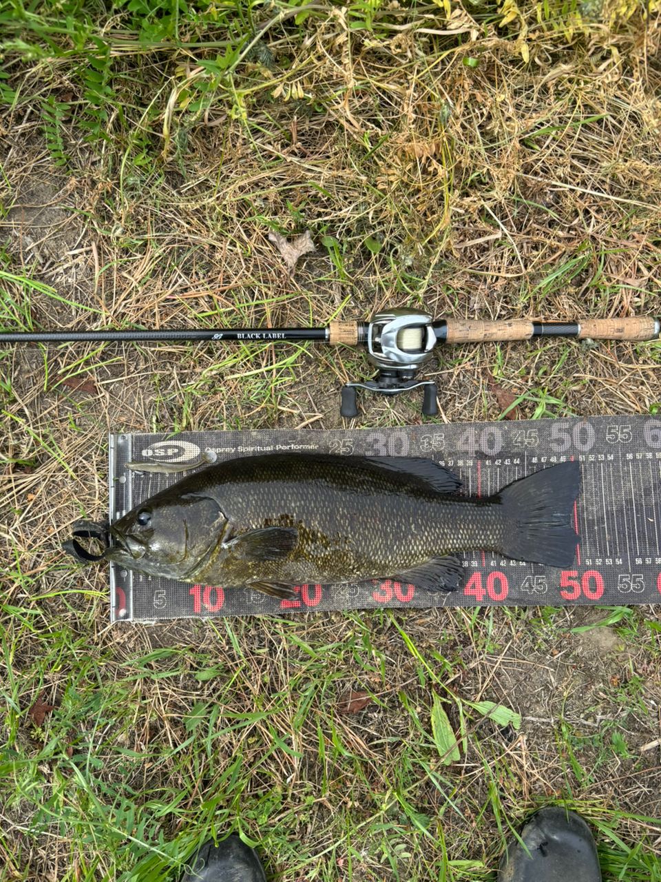 スモールマウスバス