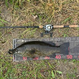 スモールマウスバス