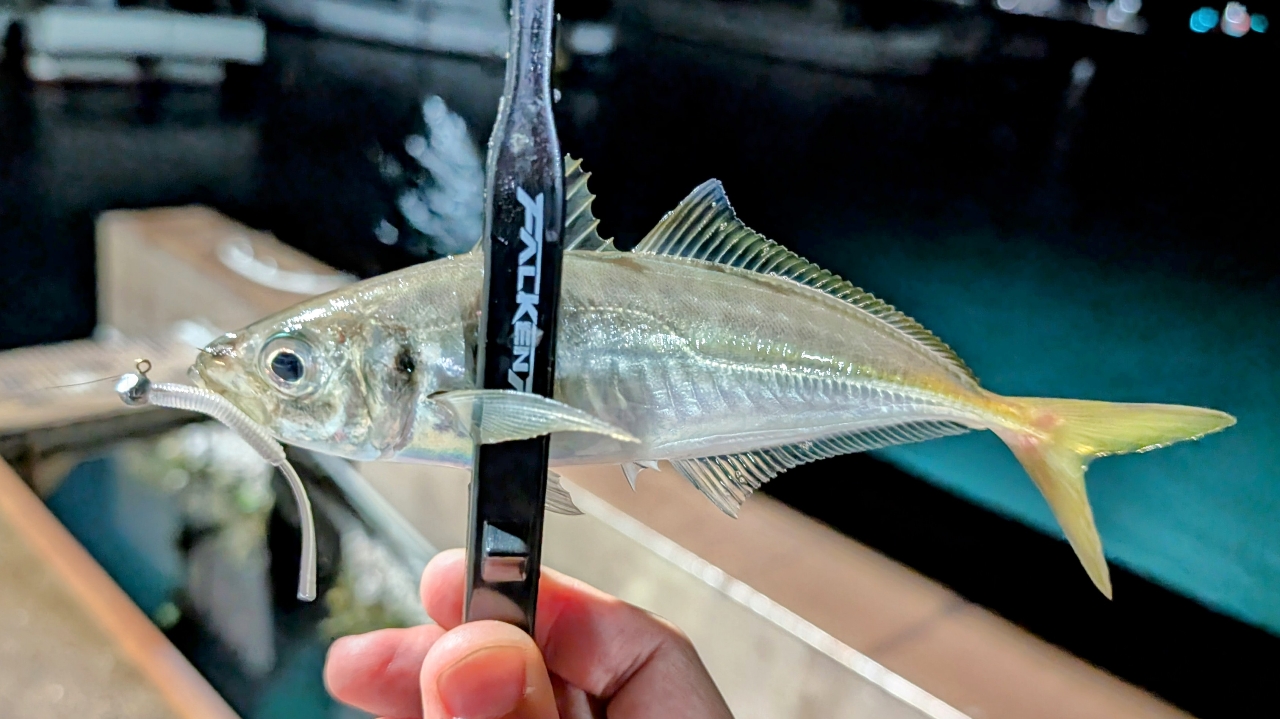 DAIWA 20月下美人 アジング 510UL-Sの最安値・インプレ・釣果