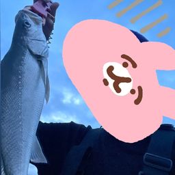 ニベ