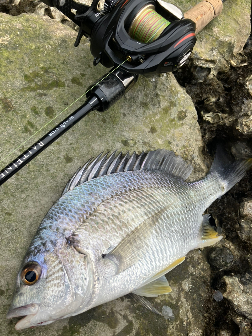 アブガルシア(Abu Garcia) エラディケーター ベイトフィネス