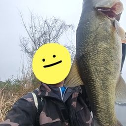 ブラックバス