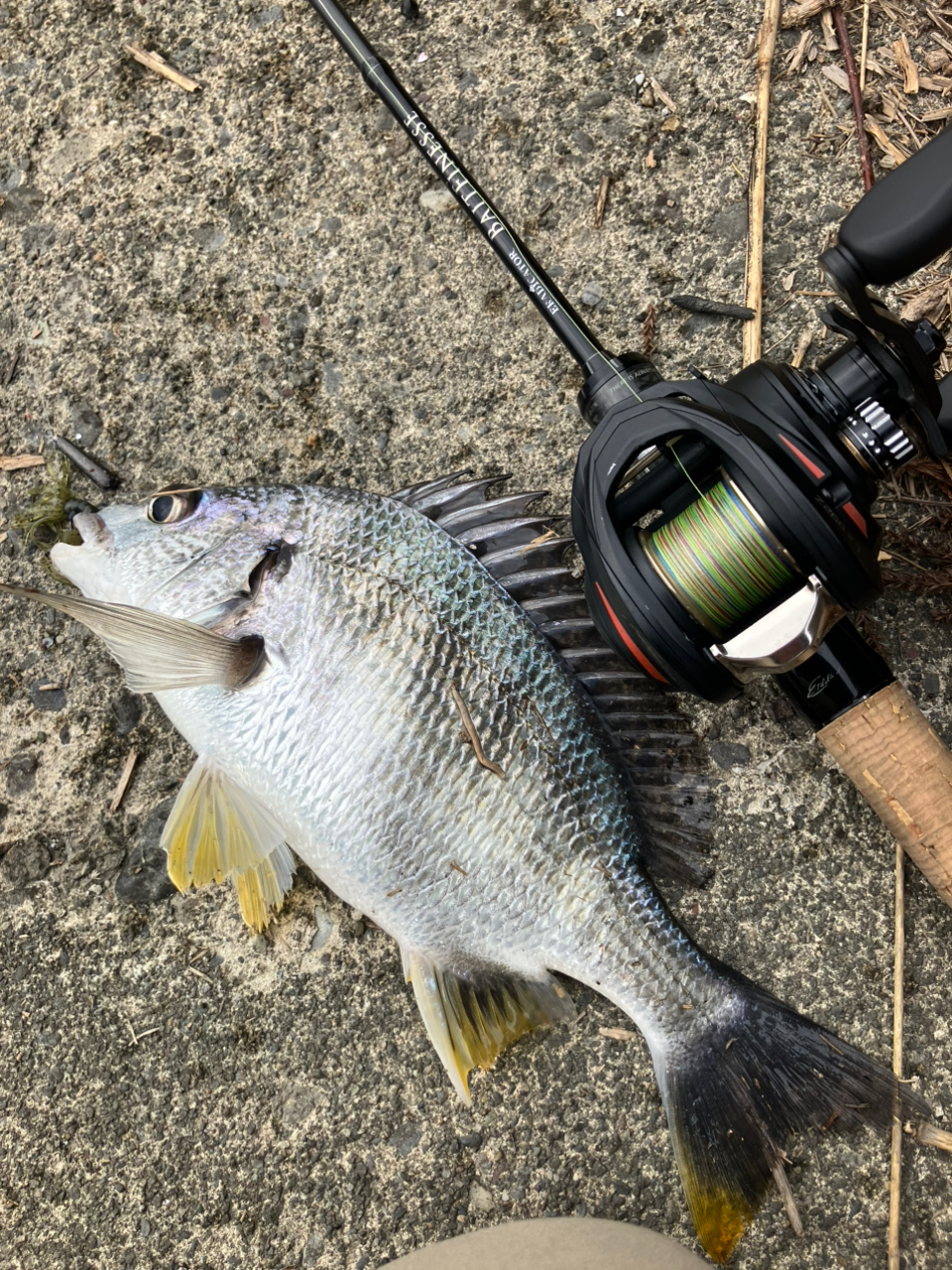 AbuGarcia エラディケーター ベイトフィネス EBTC-70LT-STの最