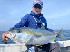 ヒラマサの釣果