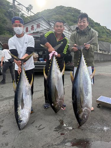 カンパチの釣果
