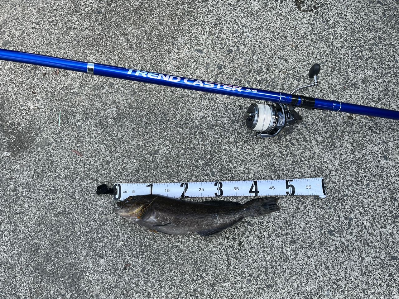SHIMANO 13パワーエアロ スピンパワー 標準仕様の最安値