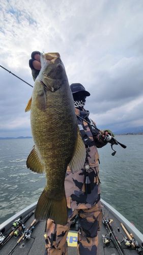 スモールマウスバスの釣果