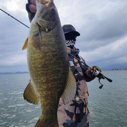 スモールマウスバス