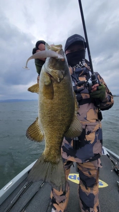 スモールマウスバスの釣果