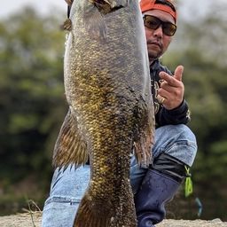 スモールマウスバス