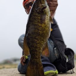 スモールマウスバス