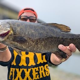 スモールマウスバス