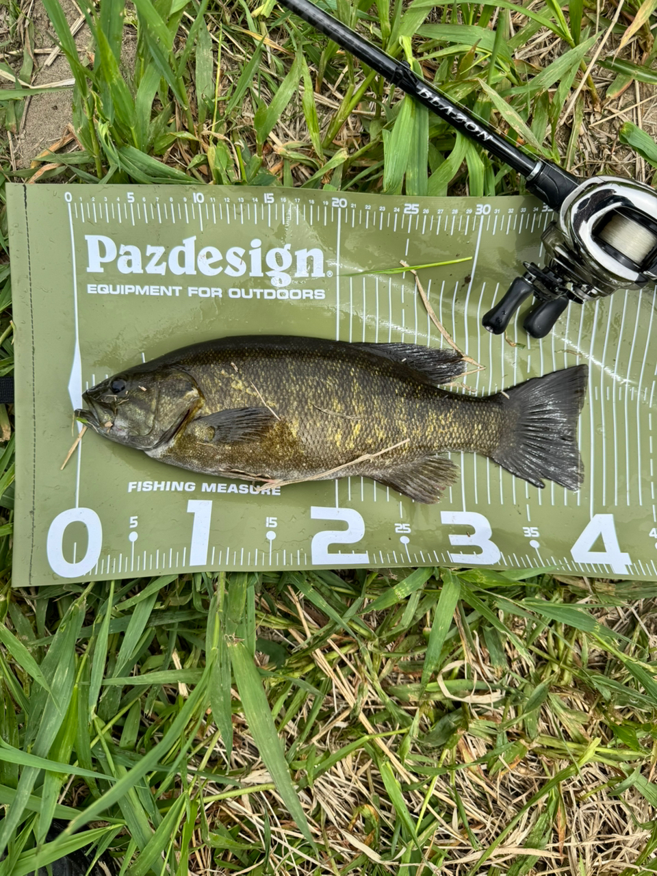 DAIWA 21ブレイゾン C610MHの最安値・インプレ・釣果 | 本音の