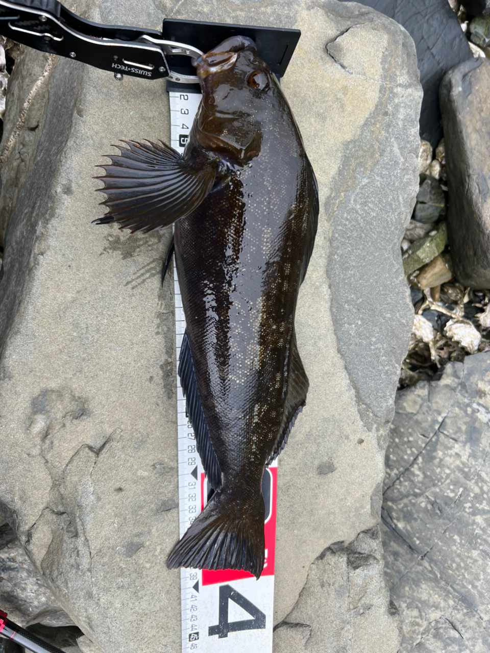 DAIWA 21HRF® (ハードロックフィッシュ) エア 910H/XH・Nの最 DAIWA 21HRF® (ハードロックフィッシュ) エア 910H/XH・Nの最