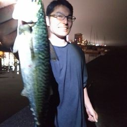サバ