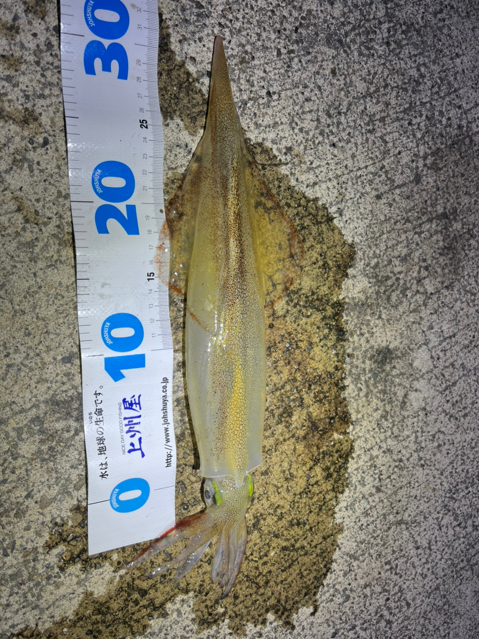 DAIWA 23エメラルダス ストイスト ST（アウトガイドモデル） 83M