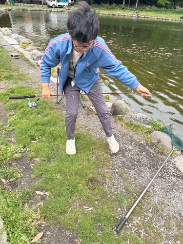 ニジマスの釣果