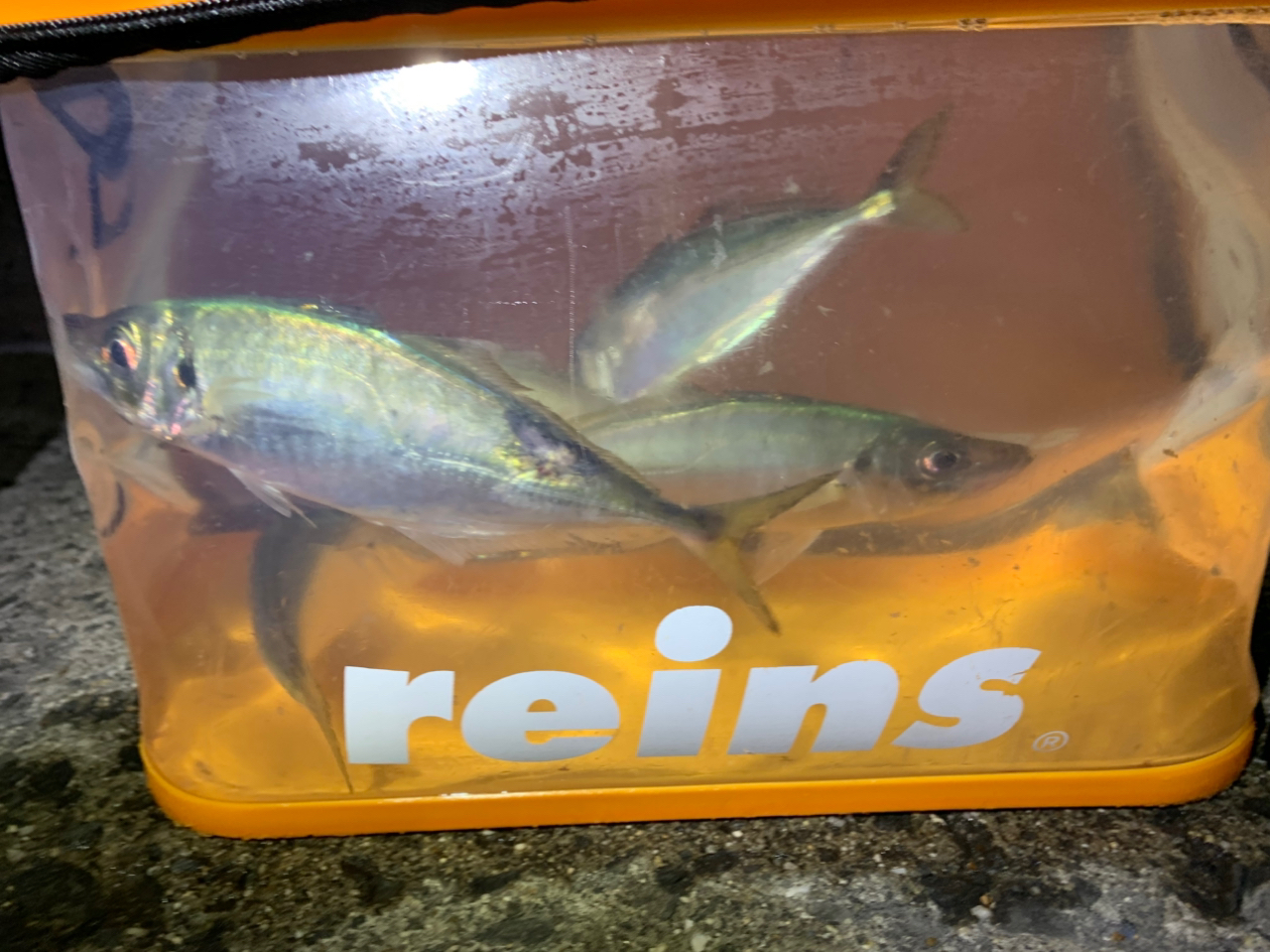 SHIMANO 20ルアーマチック MB S96M-4の最安値・インプレ・釣果