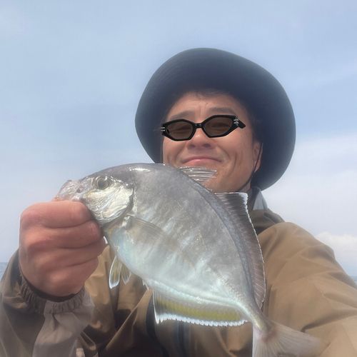 カイワリの釣果