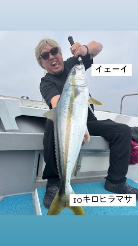 ヒラマサの釣果