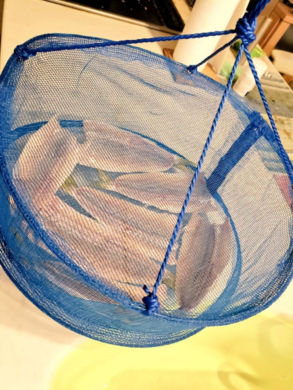 カマス
