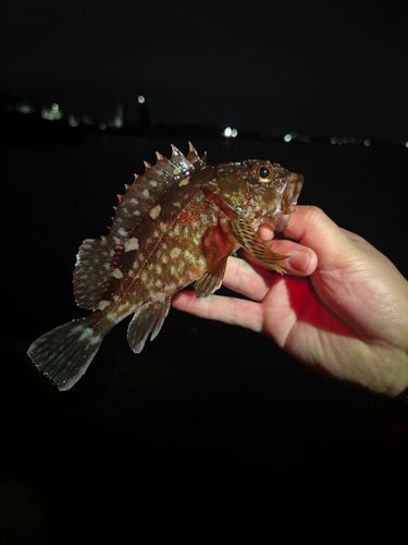 釣果