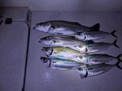 釣果