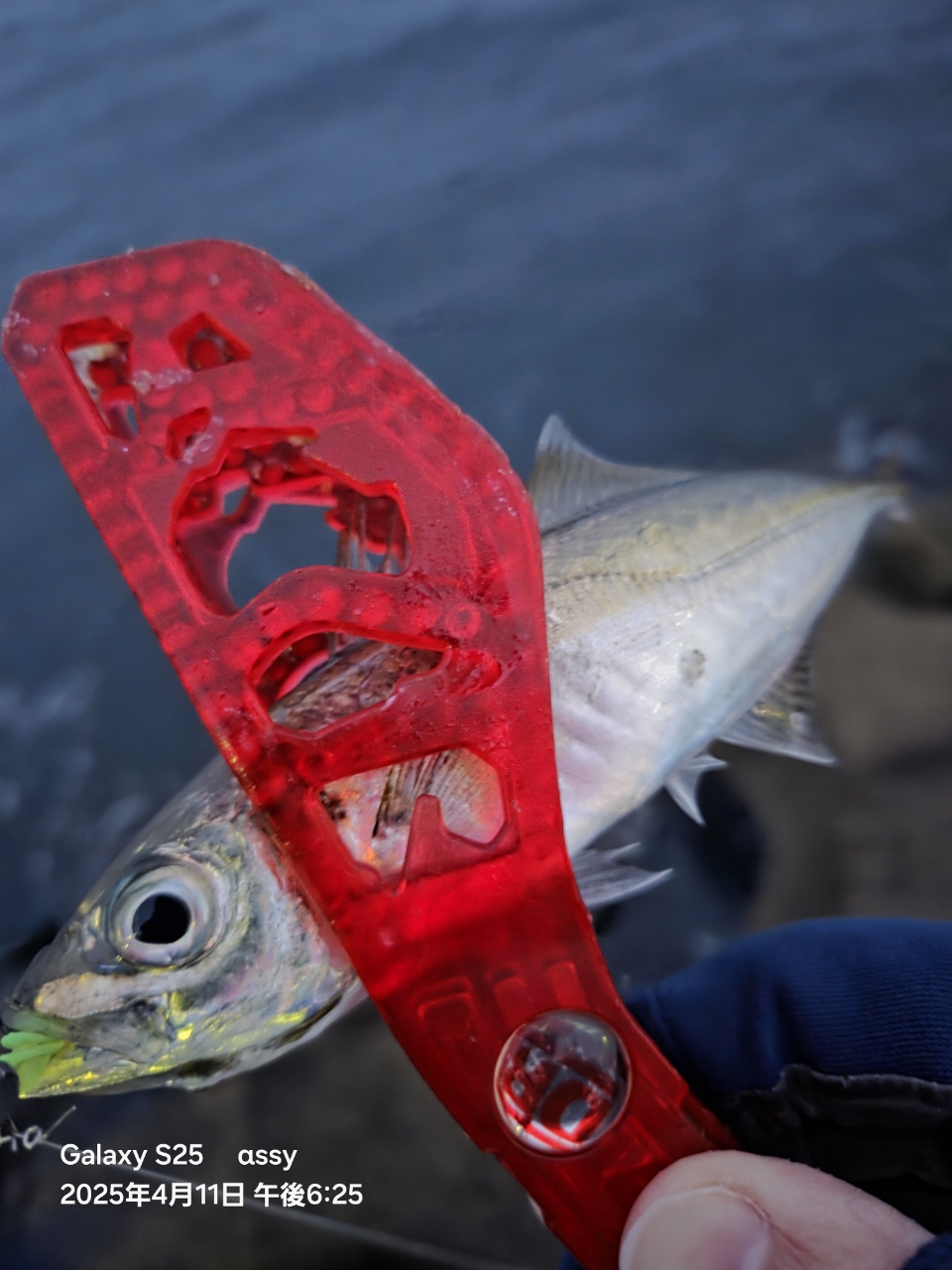 SHIMANO 17ソアレ CI4+ アジング S608UL-Sの最安値・インプレ SHIMANO 17ソアレ CI4+ アジング S608UL-Sの最安値・インプレ