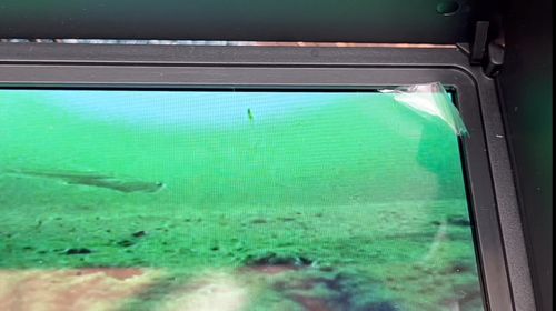 ワカサギの釣果