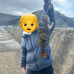 アイナメ