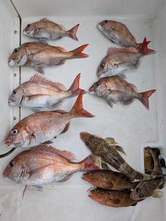 釣果