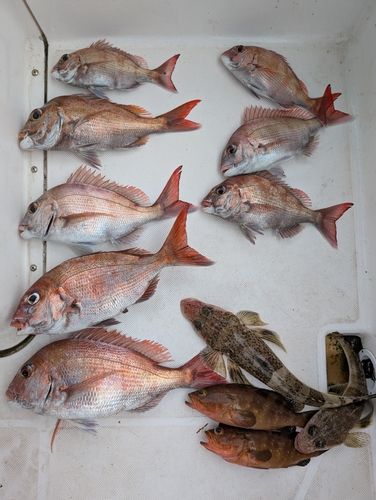 釣果