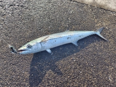 釣果