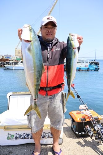 メジロの釣果