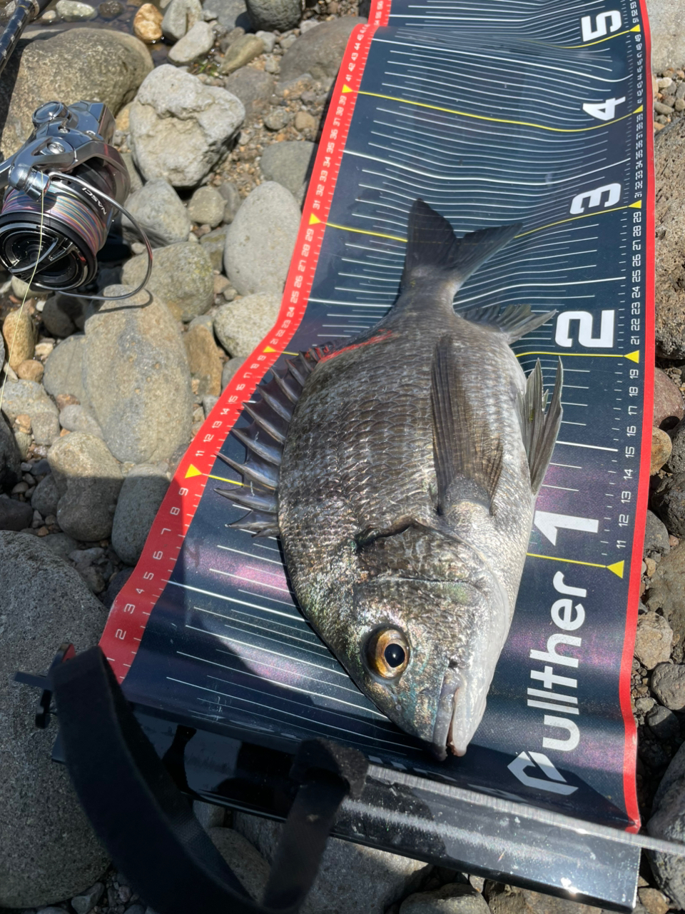 AbuGarcia クロスフィールド XRFS-702Lの最安値・インプレ・釣果