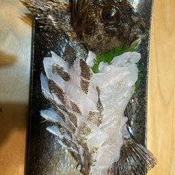ガシラ
