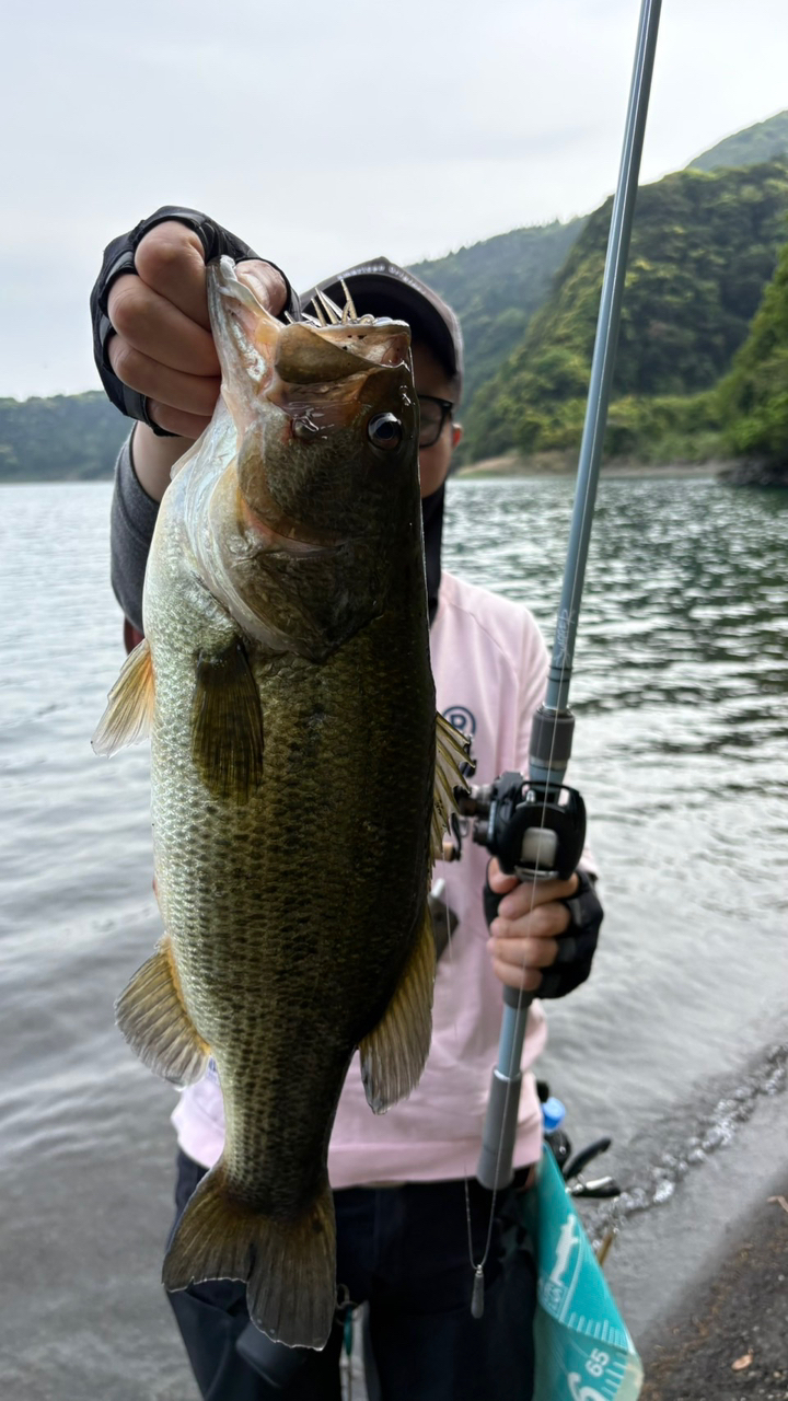DAIWA 23スワッガー C72Hの最安値・インプレ・釣果 | 本音の DAIWA 23スワッガー C72Hの最安値・インプレ・釣果 | 本音の