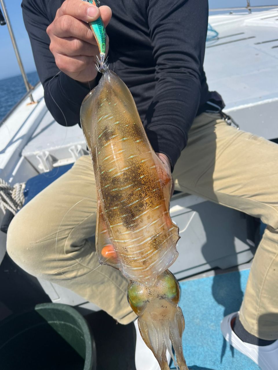 アングラー74185256さんの釣果 2枚目の画像