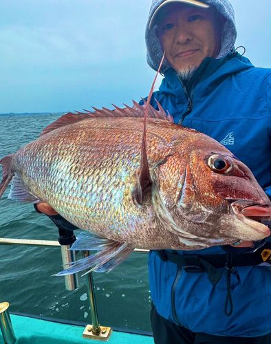 タイの釣果