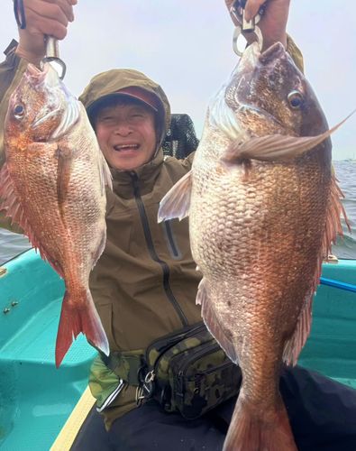 タイの釣果