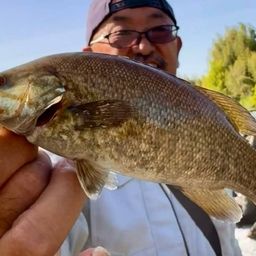 スモールマウスバス