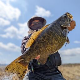 スモールマウスバス