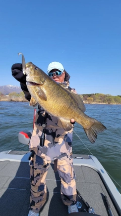 スモールマウスバスの釣果