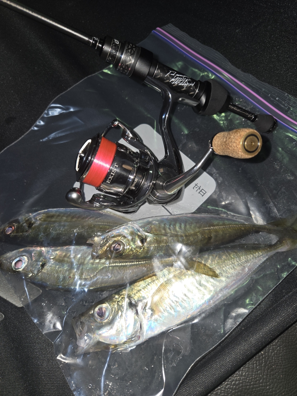 DAIWA 22イグジスト SF2000SS-Pの最安値・インプレ・釣果 | 本音 DAIWA 22イグジスト SF2000SS-Pの最安値・インプレ・釣果 | 本音