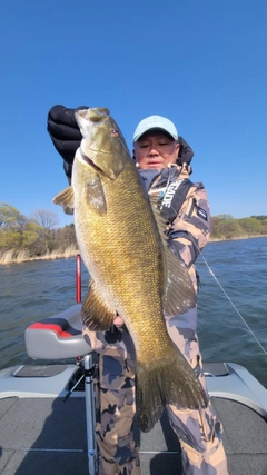 スモールマウスバスの釣果
