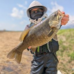 スモールマウスバス