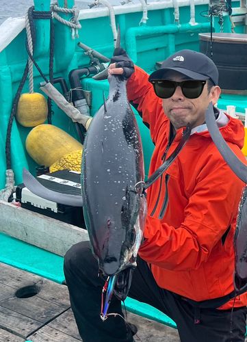 ビンチョウマグロの釣果