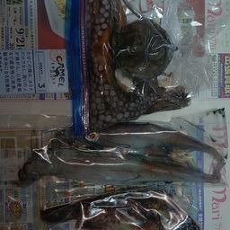 タコ