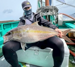 カンパチの釣果